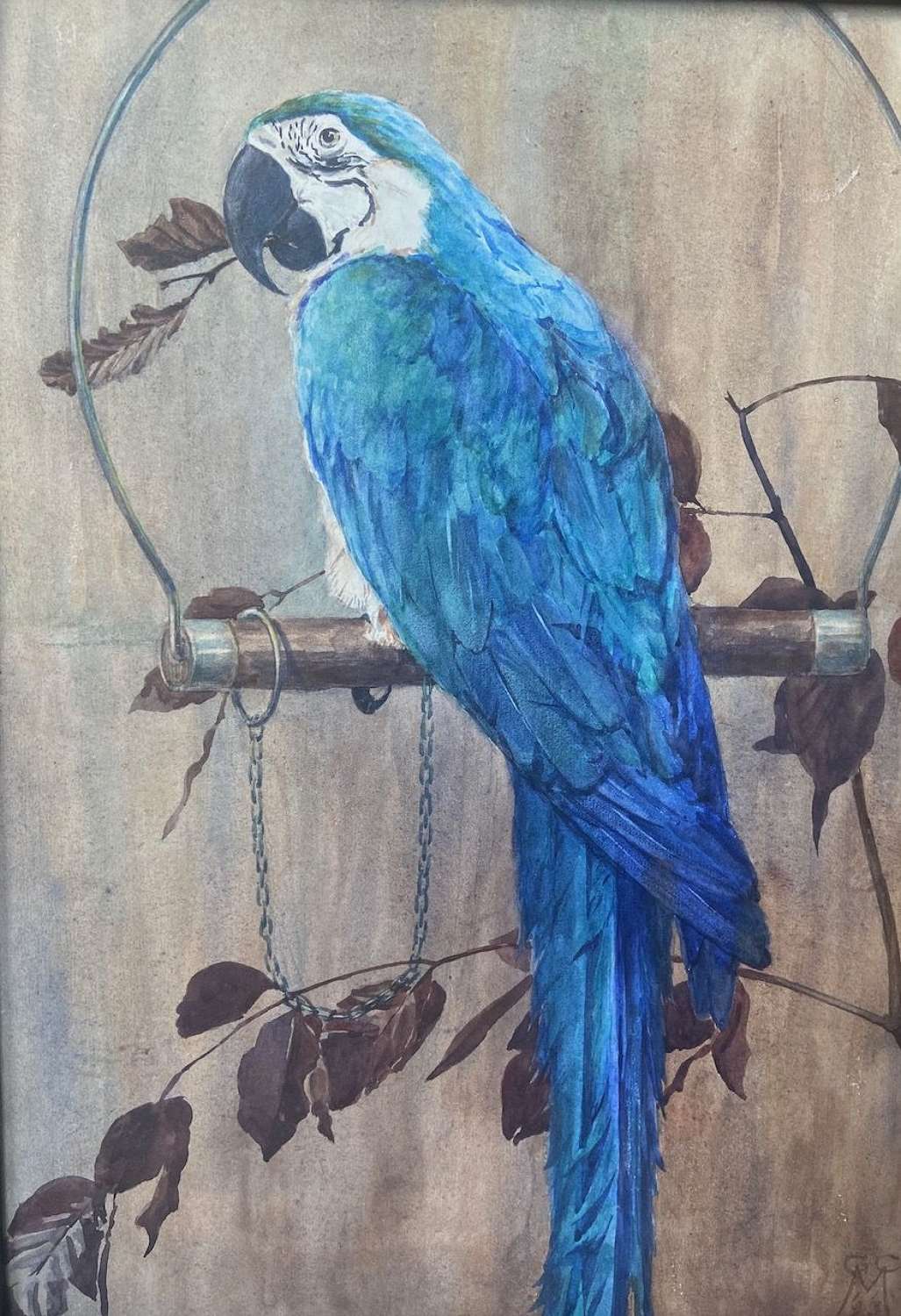 An Edwardian watercolour of a parrot